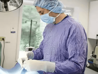 Vet wearing surgical gown and gloves